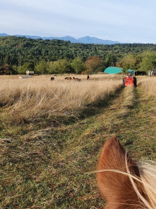 Sommer in Südfrankreich