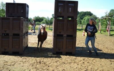 Die Horse-Agility-Geräte: Der Tunnel