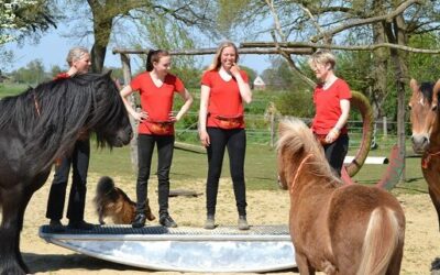 Zeitplan Horse-Agility auf der Verdiana 27./28. August