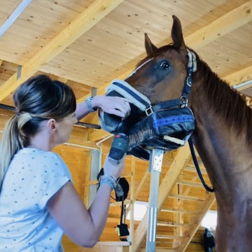 clickertraining-belgern