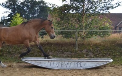 Horse-Agility Trainingstag 1.Oktober 2016