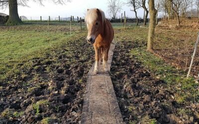 Upcycling: Gummimatte/Terrasse > Laufsteg