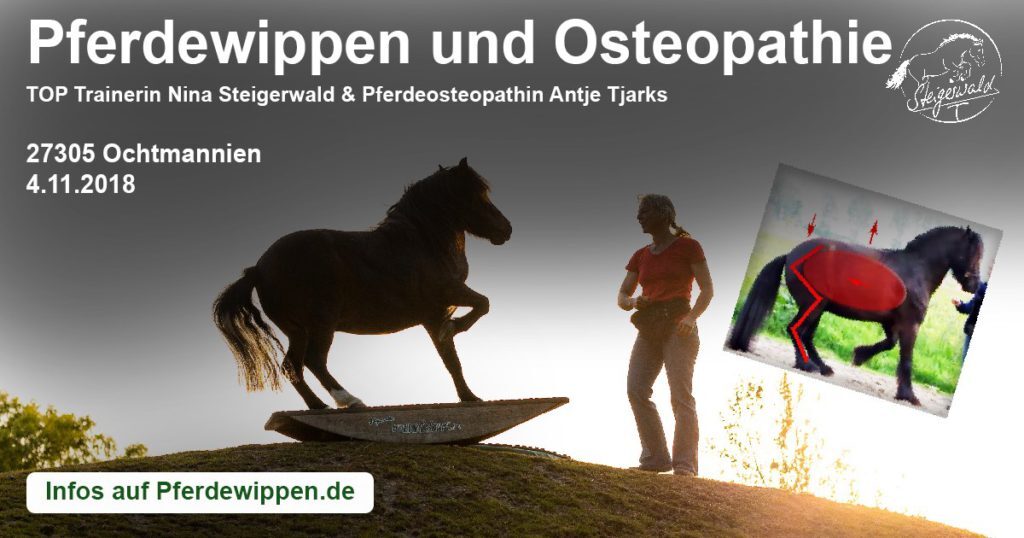 Pferdewippen unter osteopathischen Gesichtspunkten