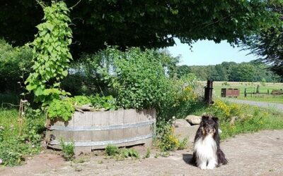 Sommer in Ochtmannien