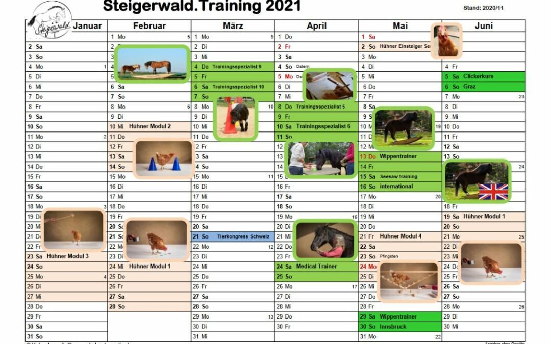 Steigerwald.Termine 2021 – Kurse & Seminare