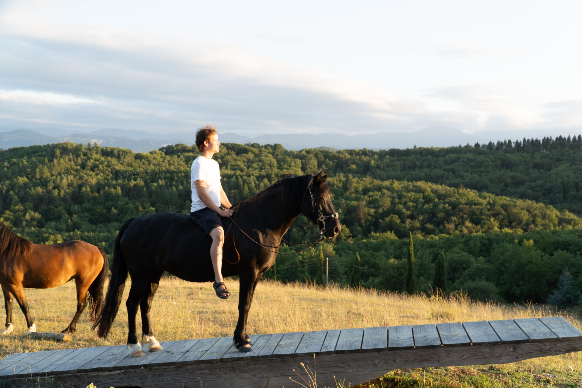 Reiten Wippen
