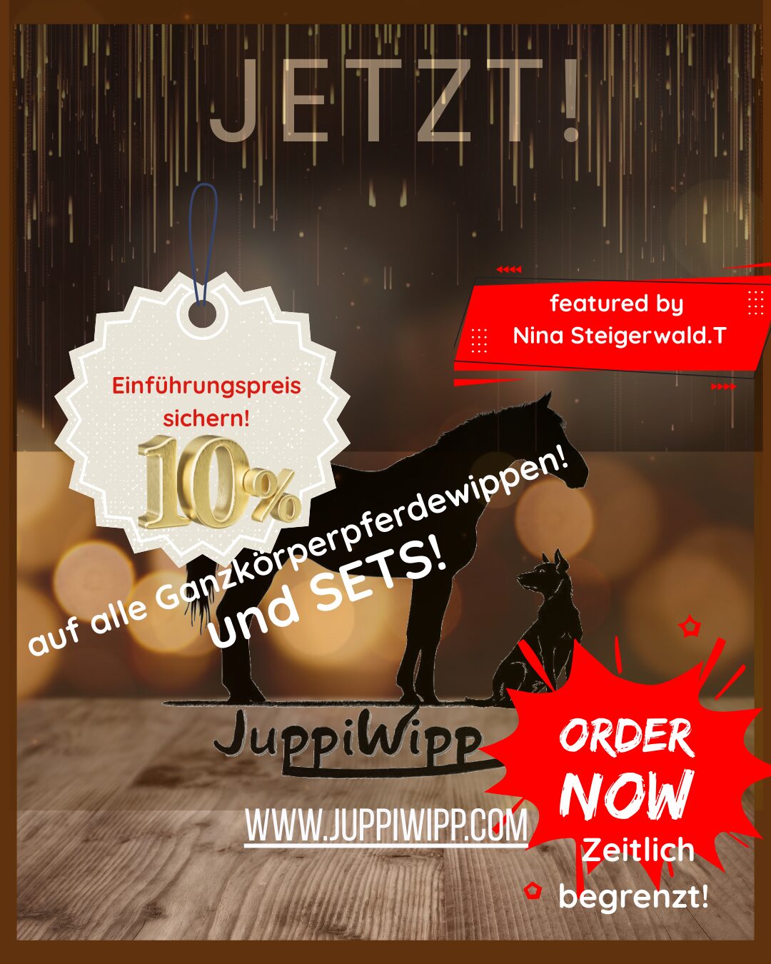 juppiwipp-pferdewippe