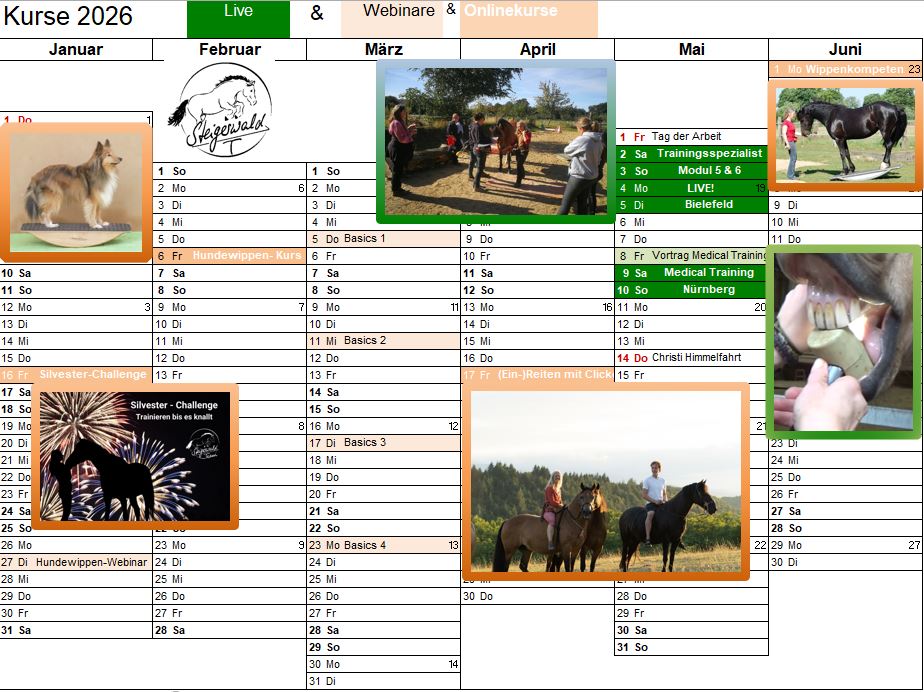Onlinekurse Clickertraining