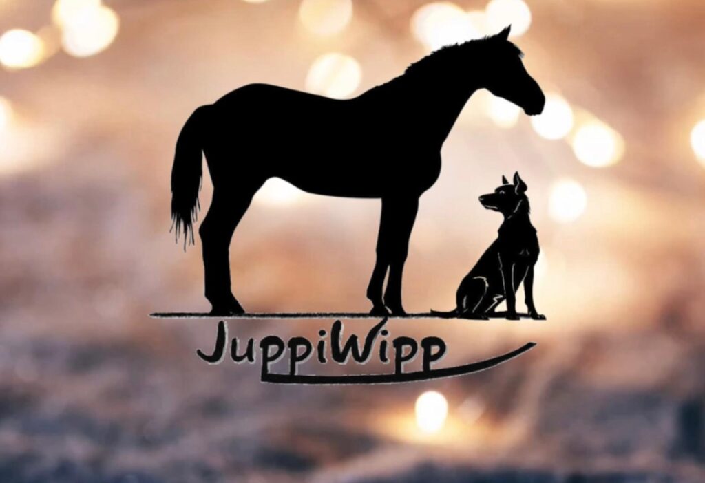 Logo huebsch Pferdewippen gibt es bei Juppiwipp