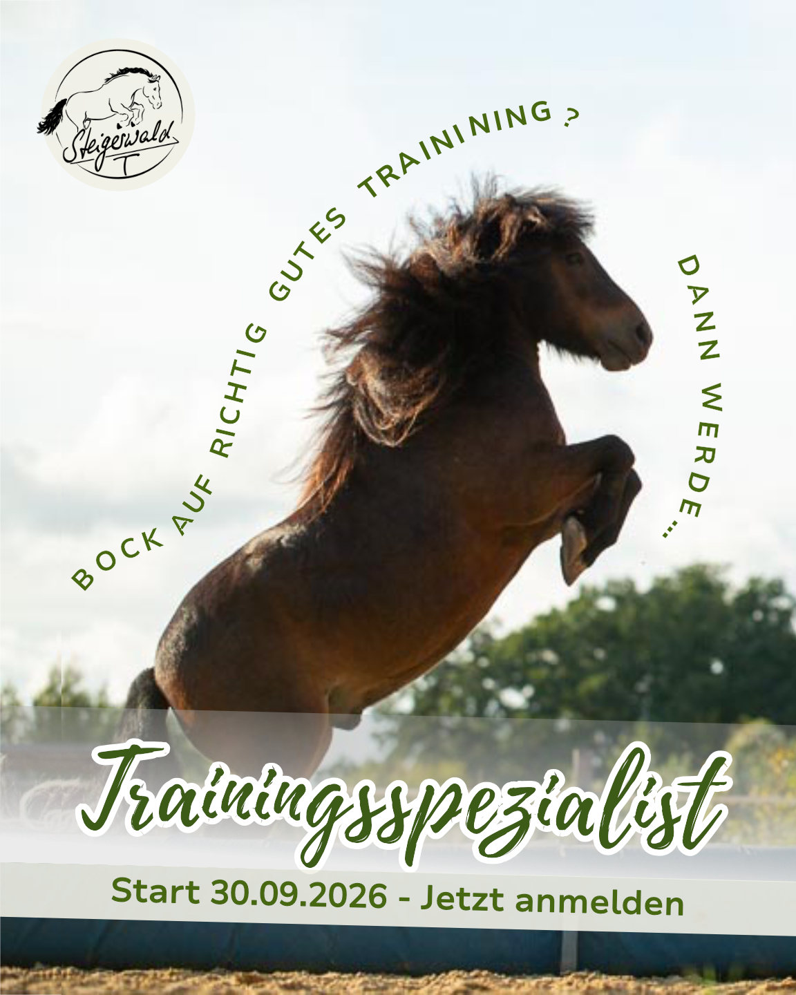 Trainingsspezialist Pferd Trainingsspezialist Instagram